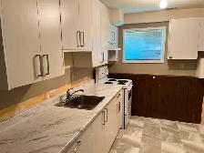 Large 1-bedroom ground-level suite for Rent in North Cowichan