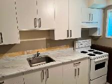 Large 1-bedroom ground-level suite for Rent in North Cowichan - Photo 2