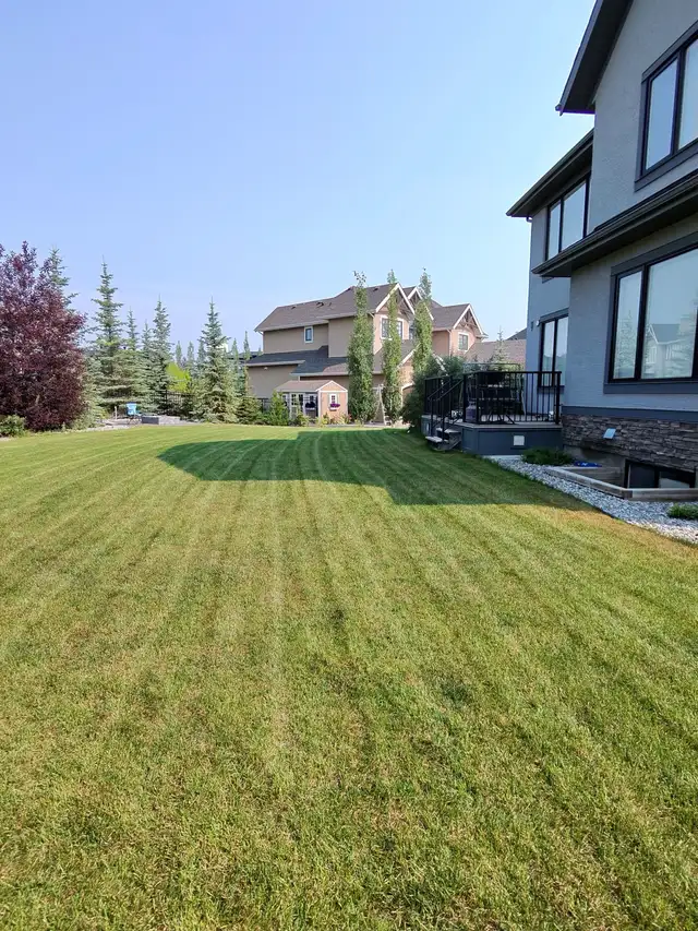 Lawn mowing