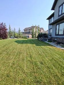 Lawn mowing