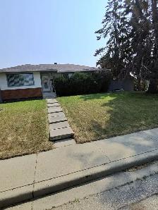 Lawn mowing - Photo 3