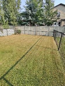 Lawn mowing - Photo 4