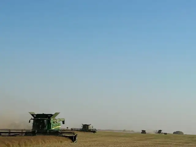 Harvest Help Wanted