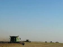 Harvest Help Wanted