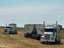 Harvest Help Wanted - Photo 5