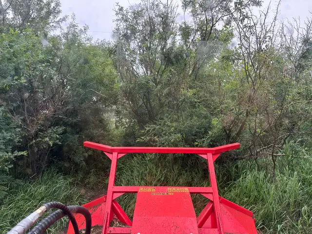 labour for tree service