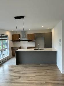 Logement 4 1/2 Beauharnois - Photo 8
