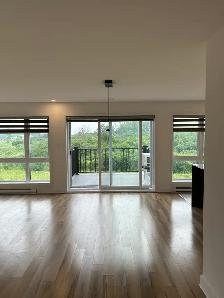 Logement 4 1/2 Beauharnois - Photo 10