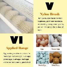 Semi-Automatic Egg Washing Machine Egg Washer 028289 - Photo 10