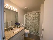 1 bed 1 bath Apartment - Photo 6