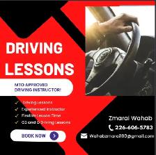 Driving Lessons - MTO Approved Instructor!