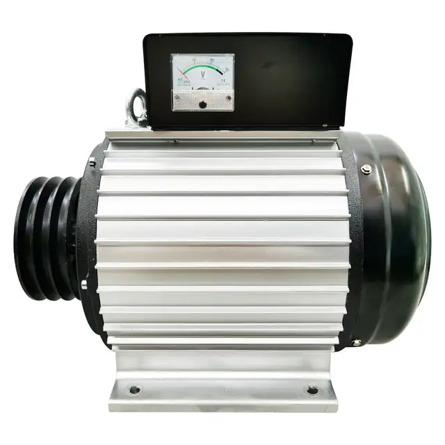 Promotion 220V Brushless Variable Frequency Generator 056860