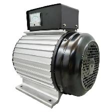 Promotion 220V Brushless Variable Frequency Generator 056860 - Photo 6