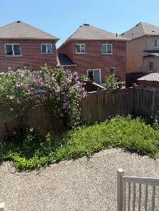 grass cutting - Photo 2