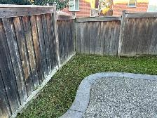 grass cutting - Photo 4
