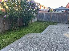 grass cutting - Photo 5