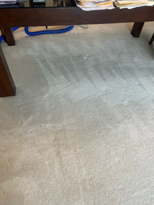 Carpet Cleaning Assistant — $18/hr   Tips — Full Time — Calgary