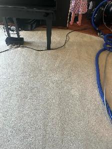 Carpet Cleaning Assistant — $18/hr   Tips — Full Time — Calgary - Photo 3