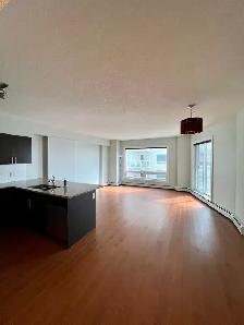 ICON II CONDO FOR RENT IN DOWNTOWN EDMONTON - Photo 3