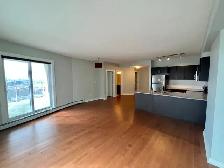 ICON II CONDO FOR RENT IN DOWNTOWN EDMONTON - Photo 4