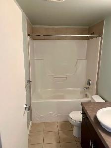 ICON II CONDO FOR RENT IN DOWNTOWN EDMONTON - Photo 6