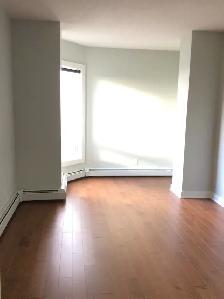 ICON II CONDO FOR RENT IN DOWNTOWN EDMONTON - Photo 8