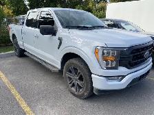2021 Ford F-150 XL 4WD SuperCrew 5.5' Box