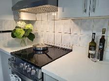 BEAUTIFUL NEWLY RENOVATED BASEMENT APARTMENT FOR RENT TORONTO - Photo 4