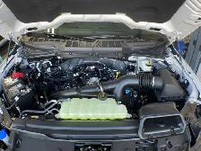 2026 Ford F-150 XLT 302A - Photo 10