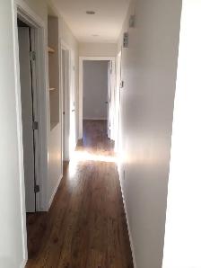 Beautiful 2 Bedroom in Bi-level - Photo 2