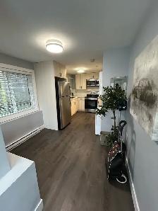 Vancouver Laneway House for Rent – 2 Bed 2 Bath - Photo 8