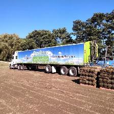 FARM FRESH SOD CUT DAILY - Photo 2