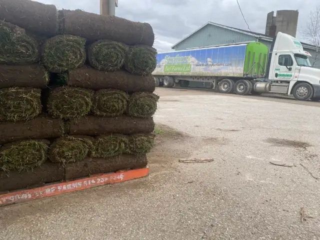 FARM FRESH SOD CUT DAILY