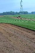 FARM FRESH SOD CUT DAILY - Photo 3