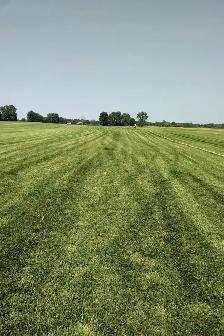 FARM FRESH SOD CUT DAILY - Photo 2