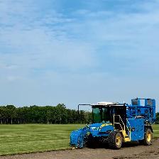 FARM FRESH SOD CUT DAILY - Photo 5