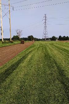 FARM FRESH SOD CUT DAILY - Photo 7