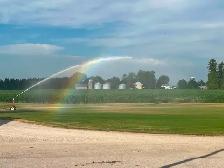 FARM FRESH SOD CUT DAILY - Photo 3