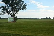 FARM FRESH SOD CUT DAILY - Photo 4