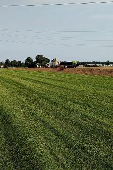 FARM FRESH SOD CUT DAILY - Photo 5