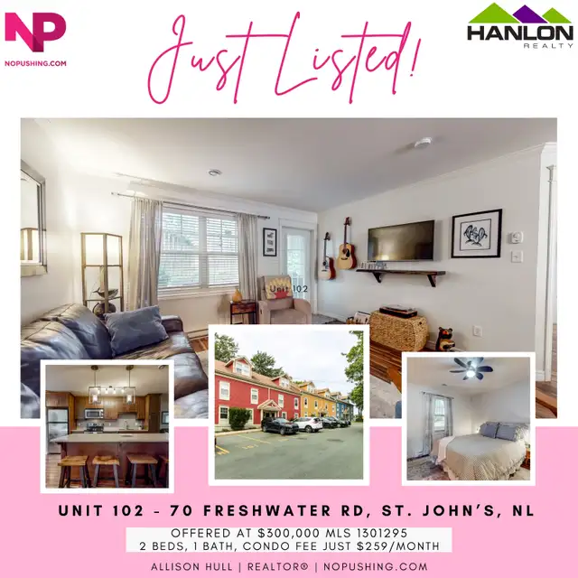Just Listed! Beautiful Move-In Ready Downtown Condo