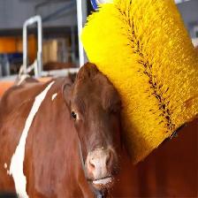 Swing Type Rotating Bovine Body Massage Brush 054636 - Photo 2