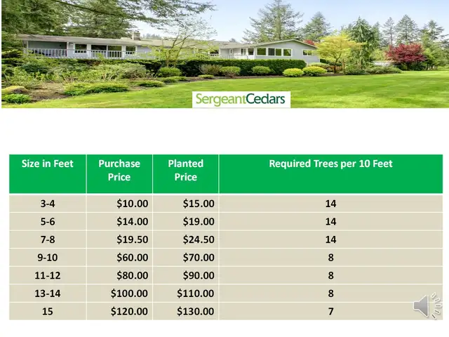 HUGE SALE ON CEDAR TREES