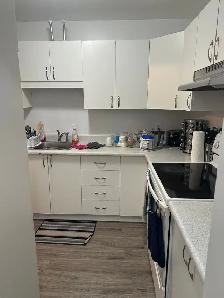 Grand 4-1/2 rénové à Louer: $1675/m, Immédiat à Longueuil - Photo 6