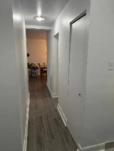 Grand 4-1/2 rénové à Louer: $1675/m, Immédiat à Longueuil - Photo 9