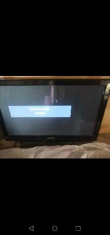 Panasonic 42-in plasma TV