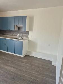 Grand 6 1/2 à louer au Centre-ville de Trois-Rivières - Photo 2