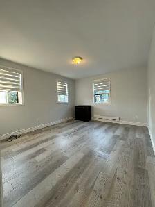 DOWNTOWN QUEEN WEST NEWLY RENOVATED 2 BEDROOM APT FOR RENT - Photo 2