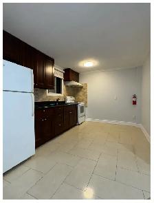 DOWNTOWN QUEEN WEST NEWLY RENOVATED 2 BEDROOM APT FOR RENT - Photo 8