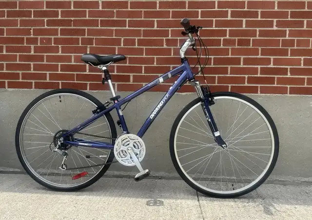 Hybrid Bike